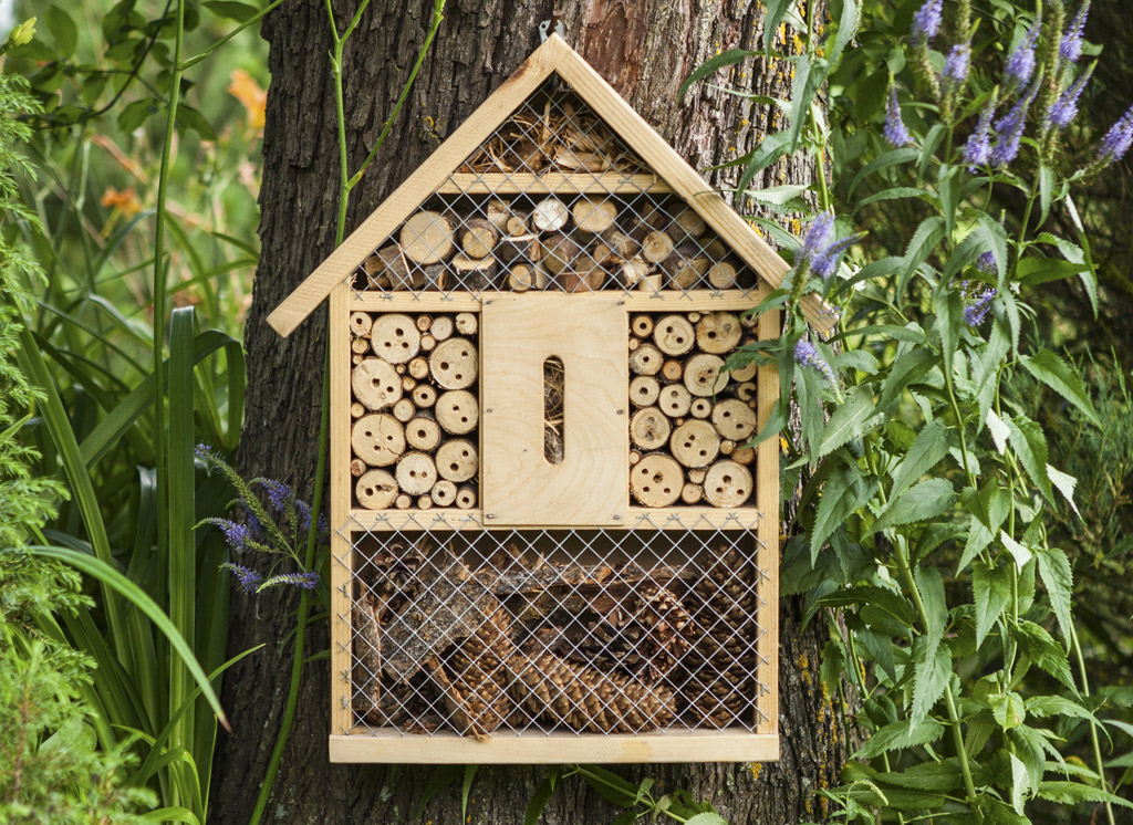 Insectenkasten