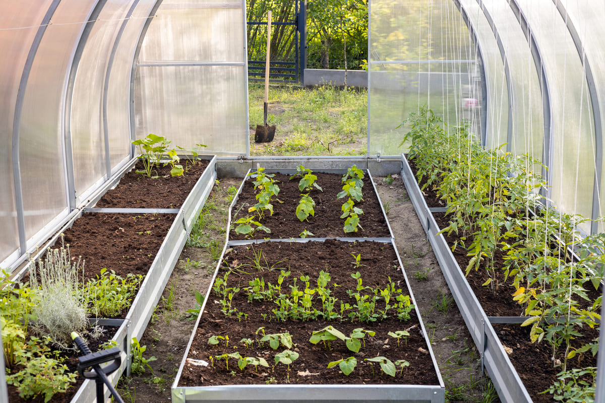 Binnen kweken en zaaien: zo werkt het!