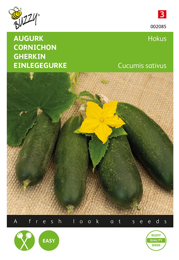 Buzzy Augurk Zaden Hokus