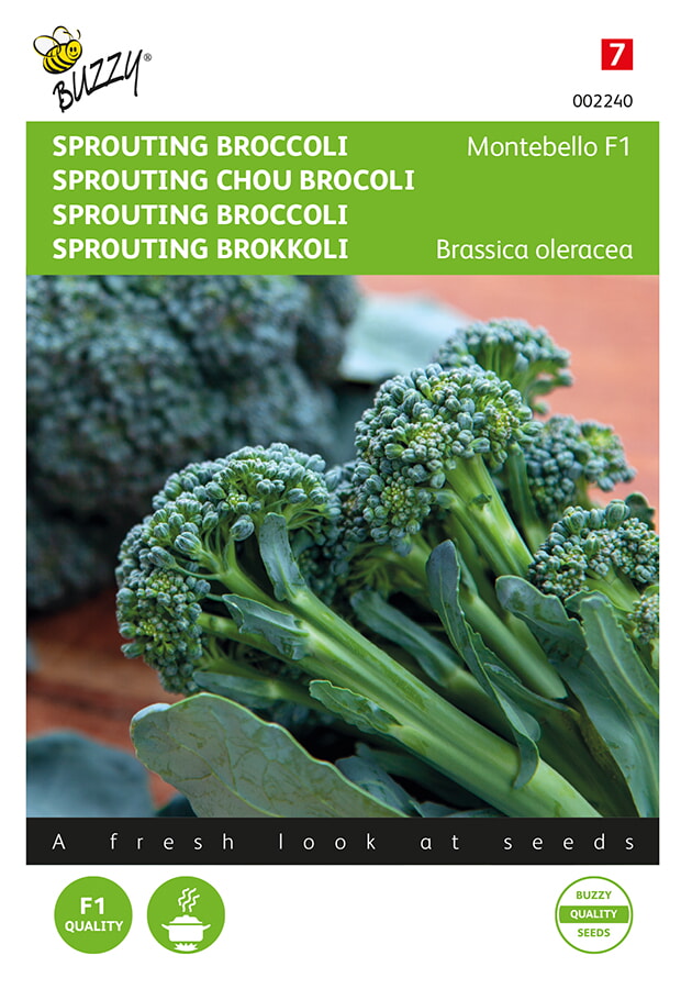 Buzzy Sprouting Broccoli Zaden Montebello F1