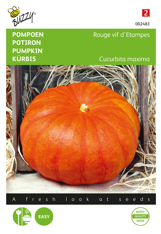 Buzzy Pompoen Zaden Rode van Etampes