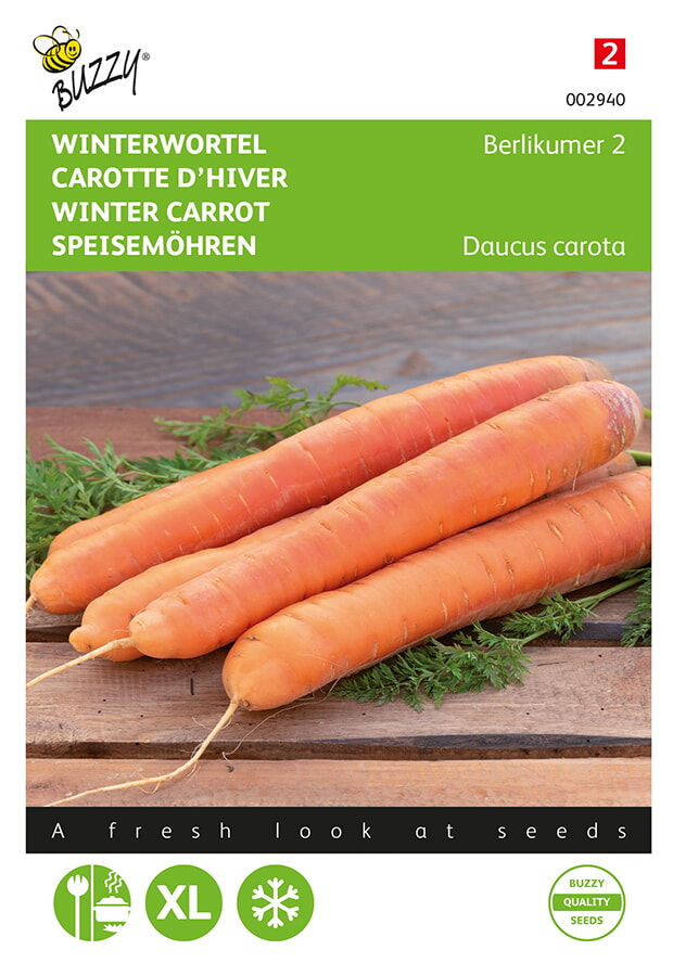 Buzzy Winterwortel Zaden Berlikumer 2