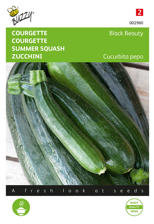 Buzzy Courgette Zaden Black Beauty