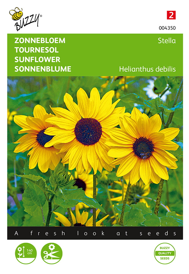 Buzzy Zonnebloem Zaden Stella