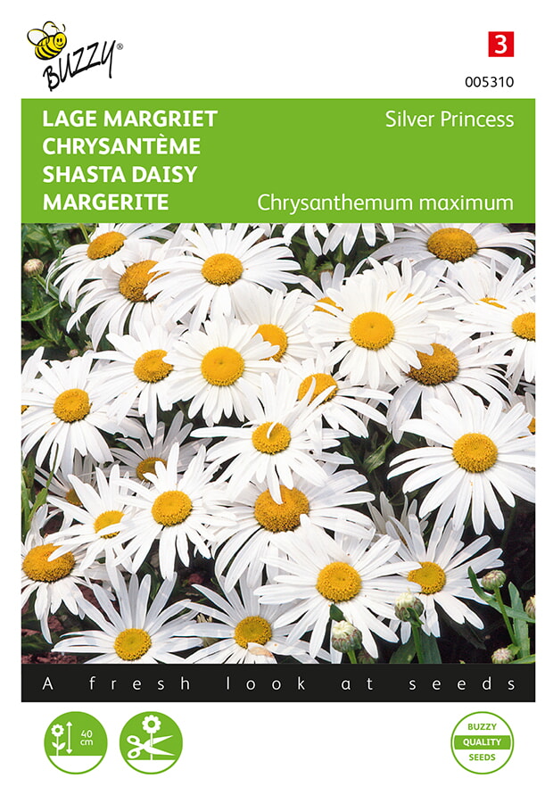 Buzzy Lage Margriet Zaden Silver Princess