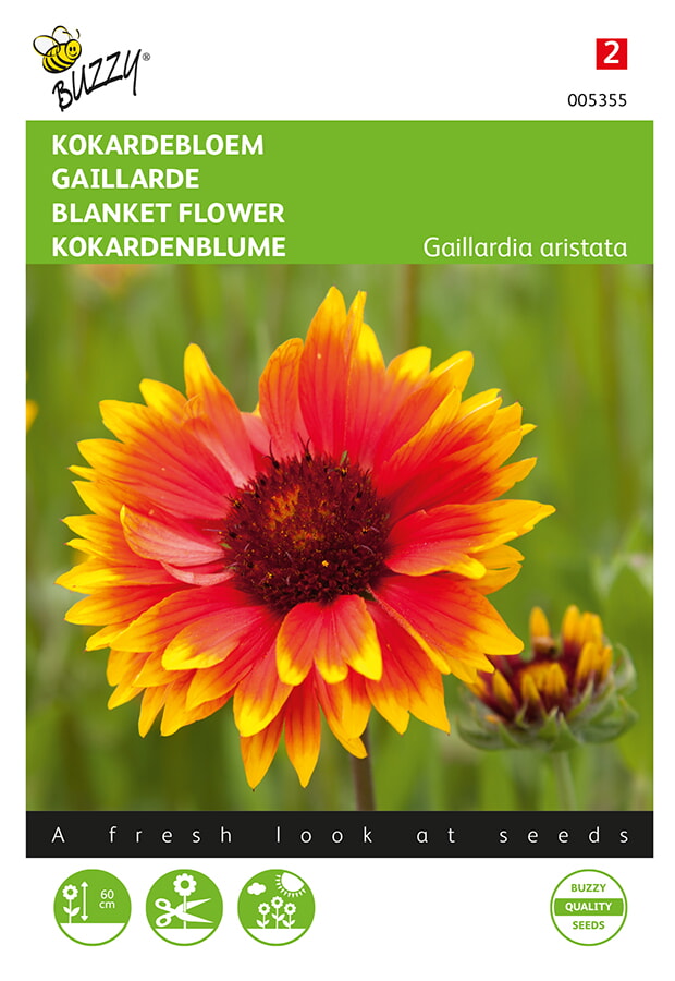 Buzzy Kokardebloem Zaden