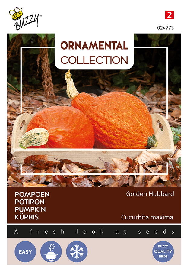 Buzzy Ornamental Pompoen Zaden Golden Hubbard
