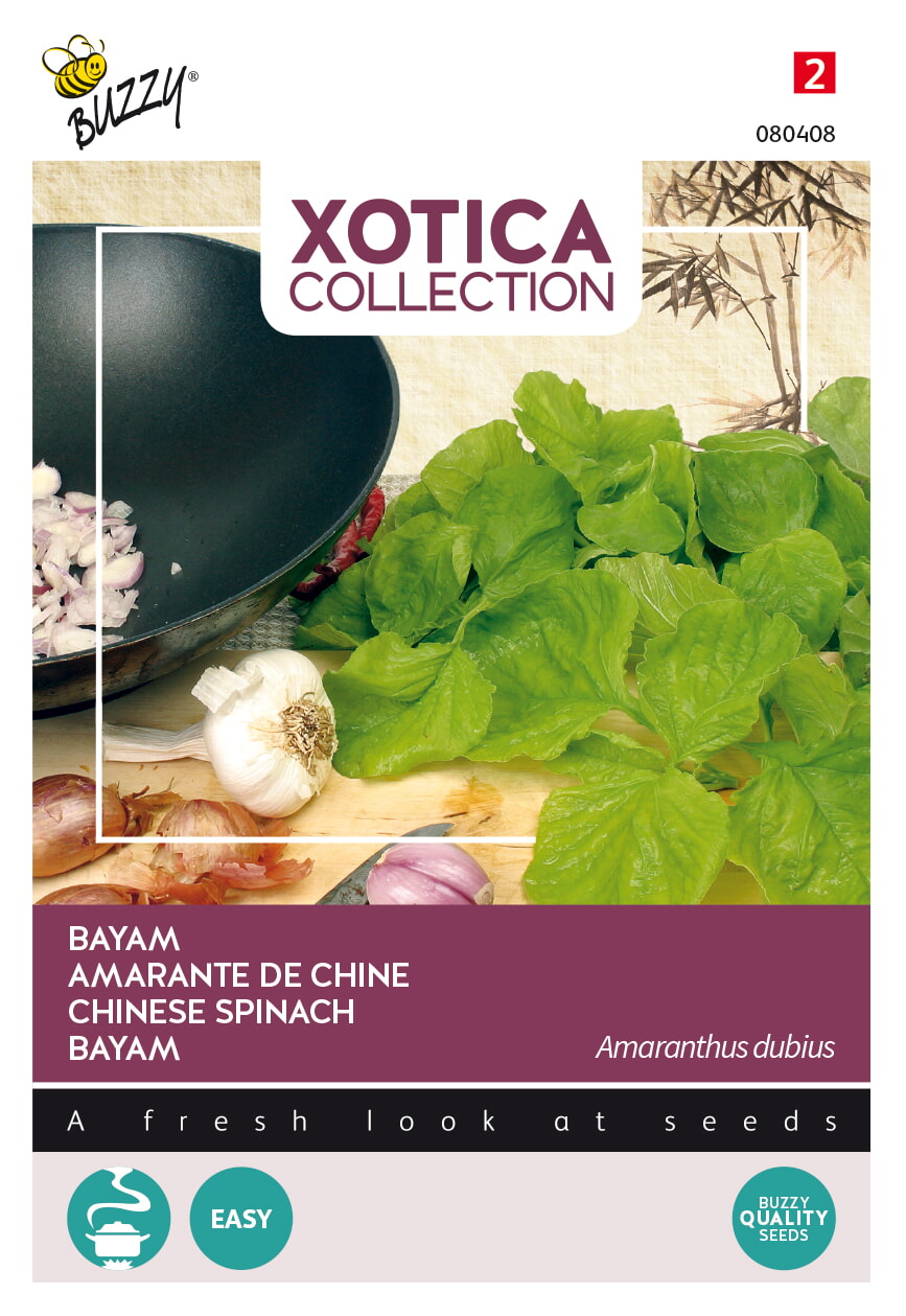 Buzzy Xotica Bayam