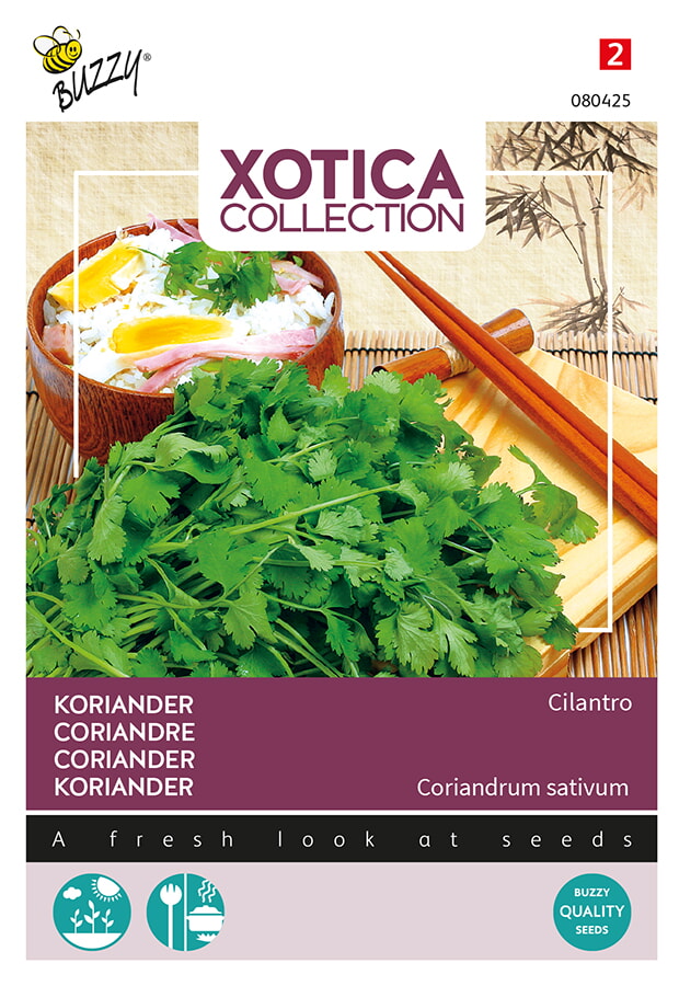 Buzzy Xotica Koriander Zaden