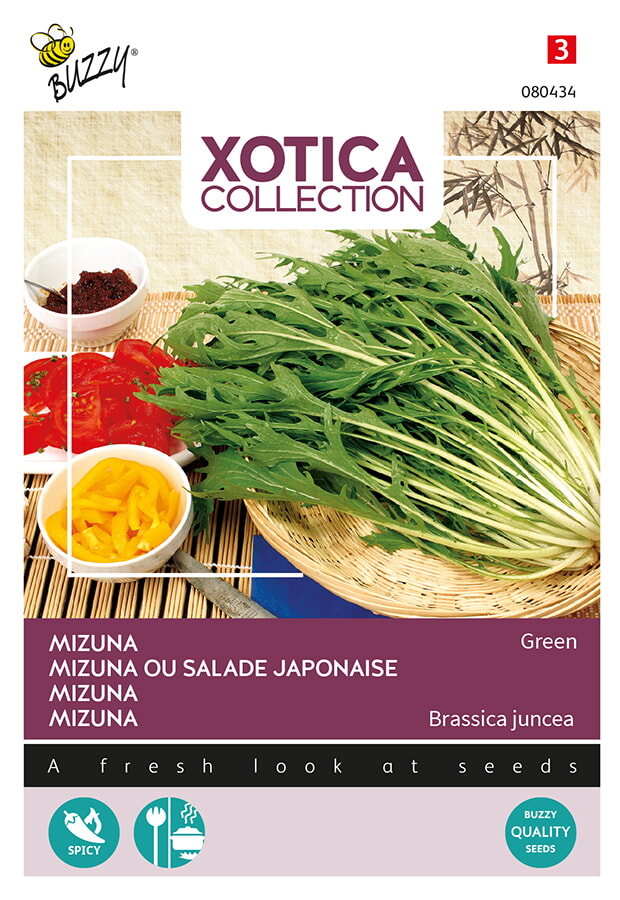 Buzzy Xotica Mizuna Zaden Green