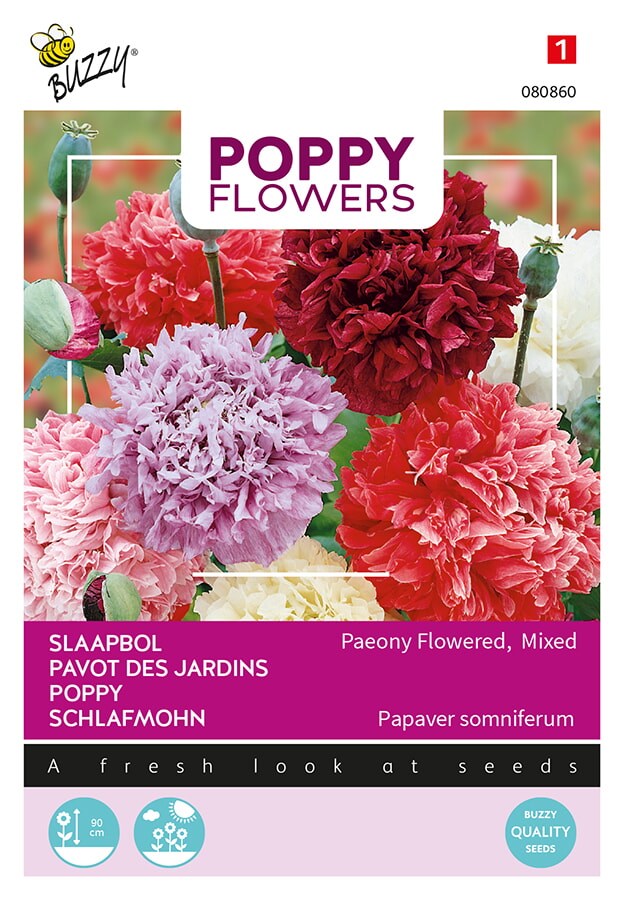 Buzzy Poppy Flowers Slaapbol Zaden Pioenbloemige Papaver