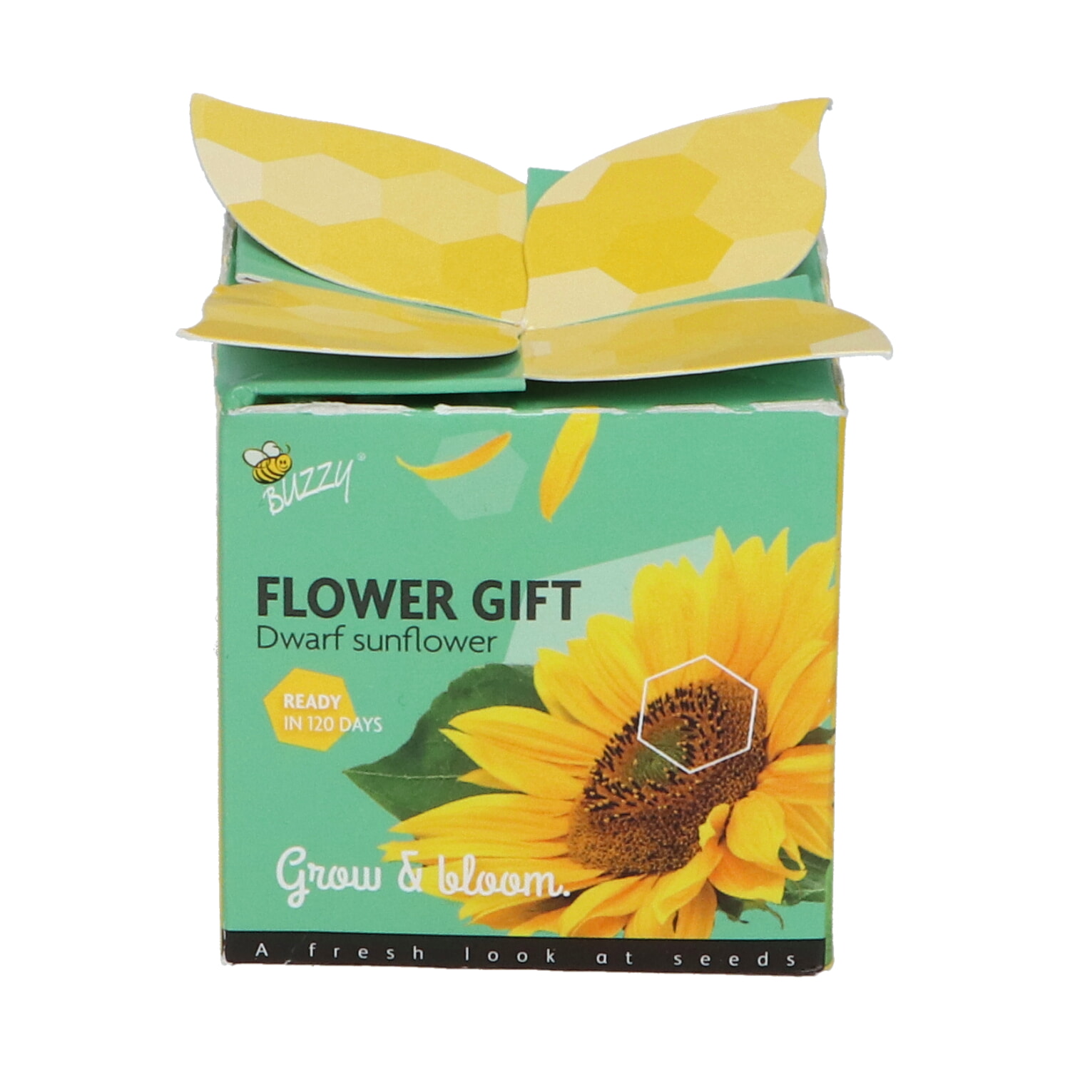 Buzzy Flower Gift Zonnebloem