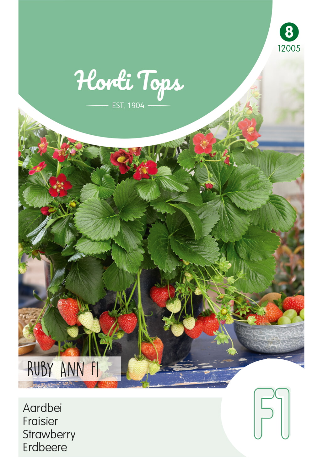 HT Aardbei Zaden Ruby Ann F1