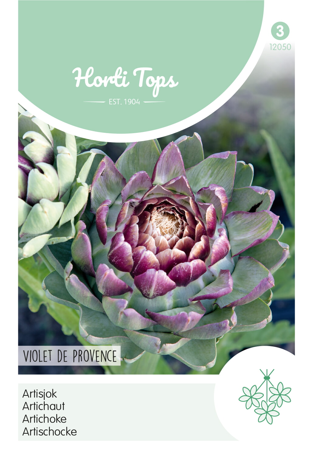 HT Artisjok Zaden Violet De Provence