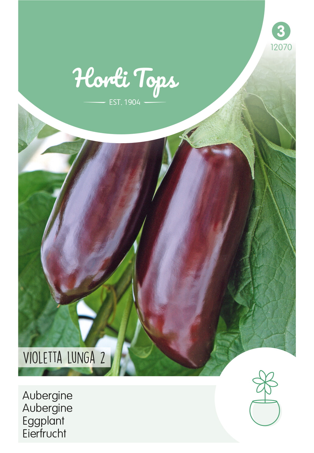 HT Aubergine Zaden Violetta Lunga 2