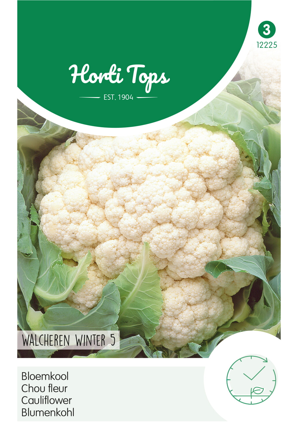 HT Bloemkool Zaden Walcheren Winter 5