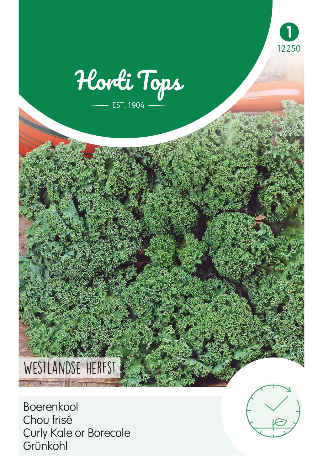 HT Boerenkool Zaden Westlandse Herfst
