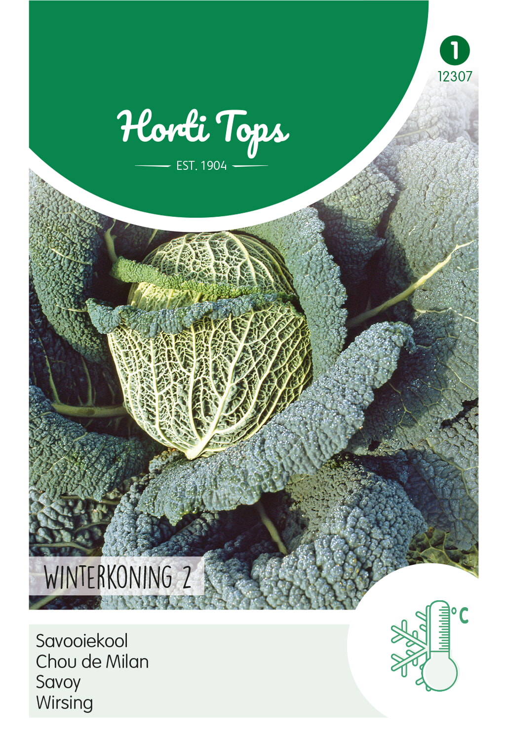 HT Savooiekool Zaden Winterkoning 2