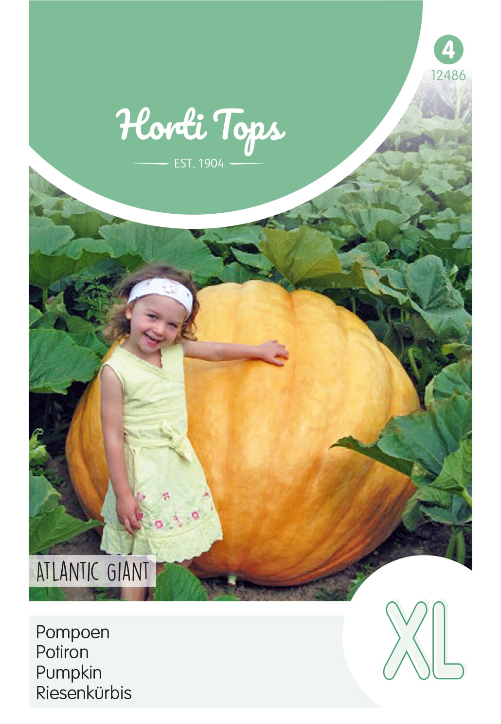 HT Pompoen Zaden Atlantic Giant