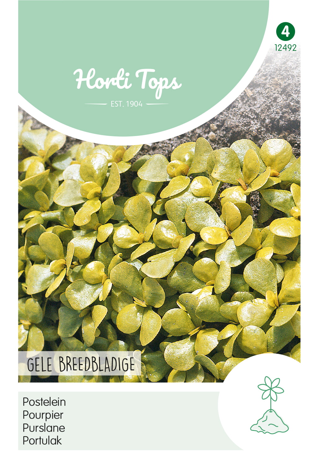 HT Postelein Zaden Gele Breedbladige