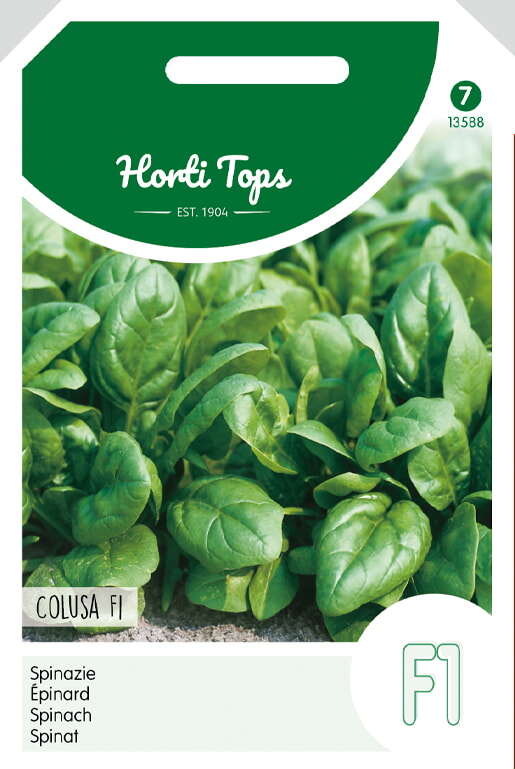 HT Spinazie Zaden Campania F1 50 g