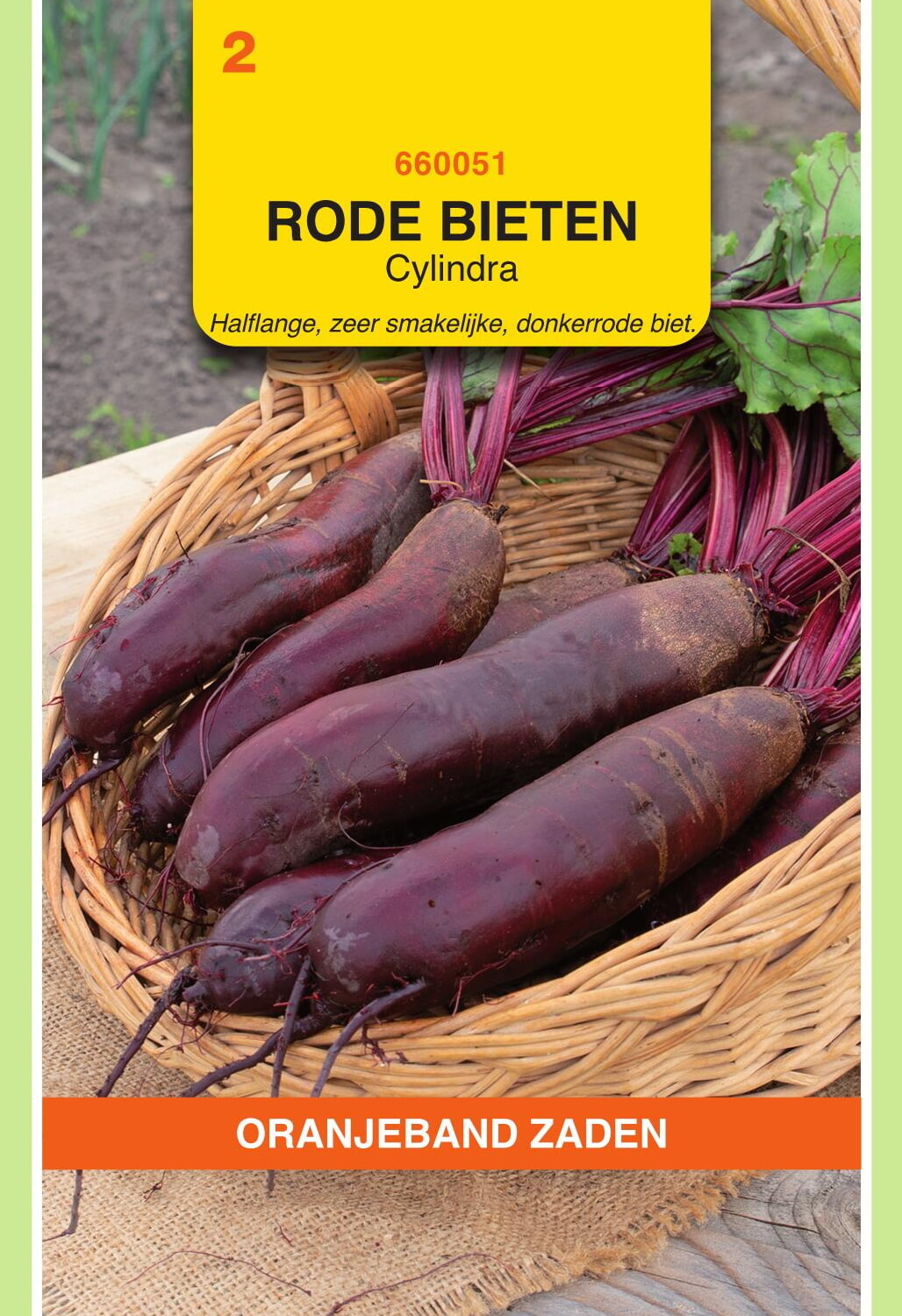 OBZ Rode Bieten Zaden Cylindra