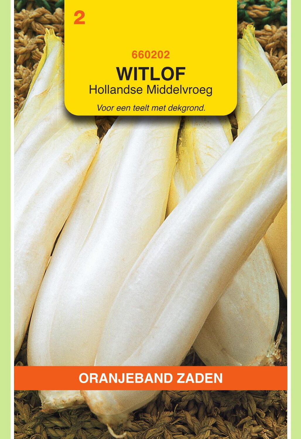 OBZ Witlof Zaden Hollandse Middelvroeg