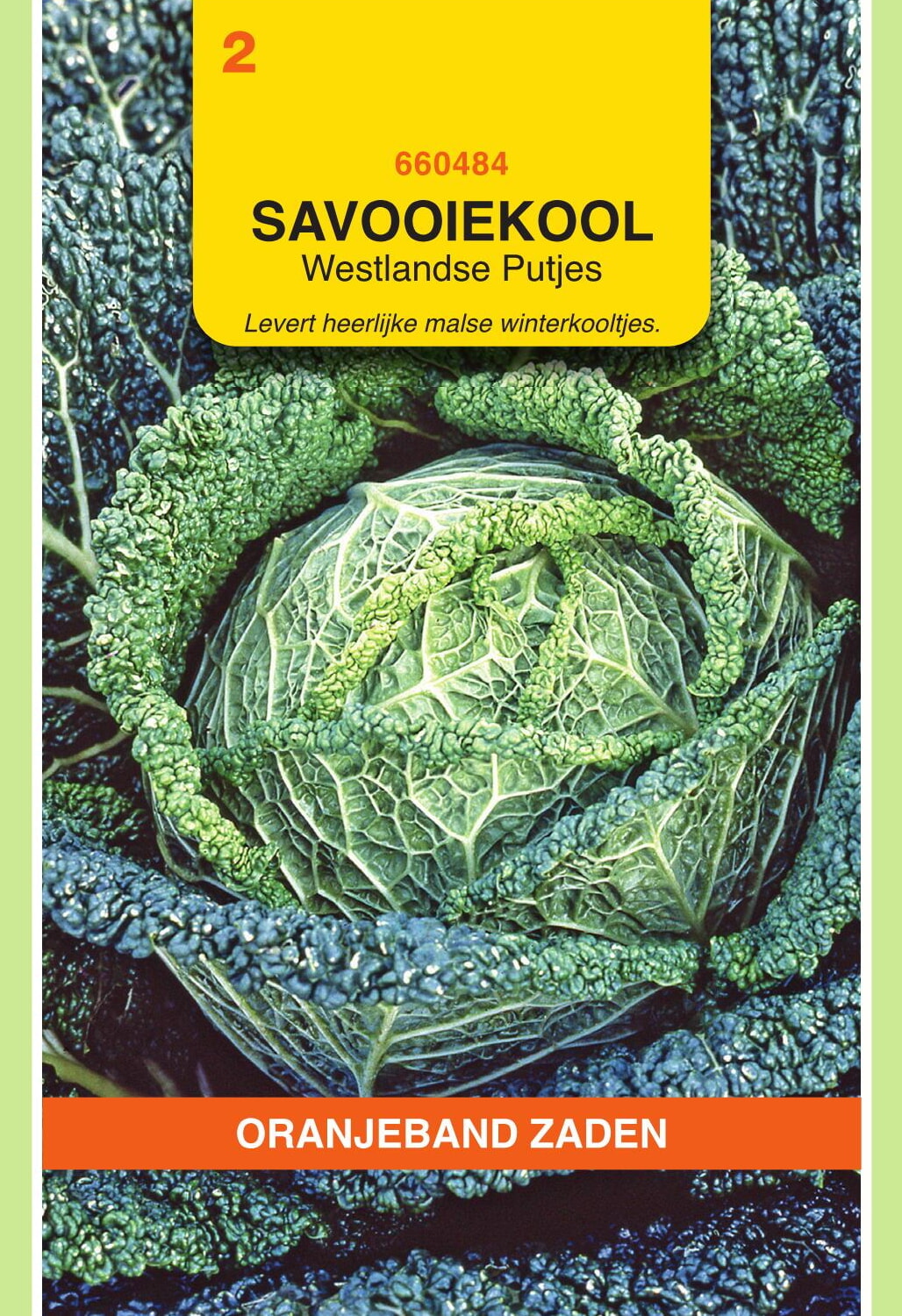 OBZ Savooiekool Zaden Westlandse Putjes