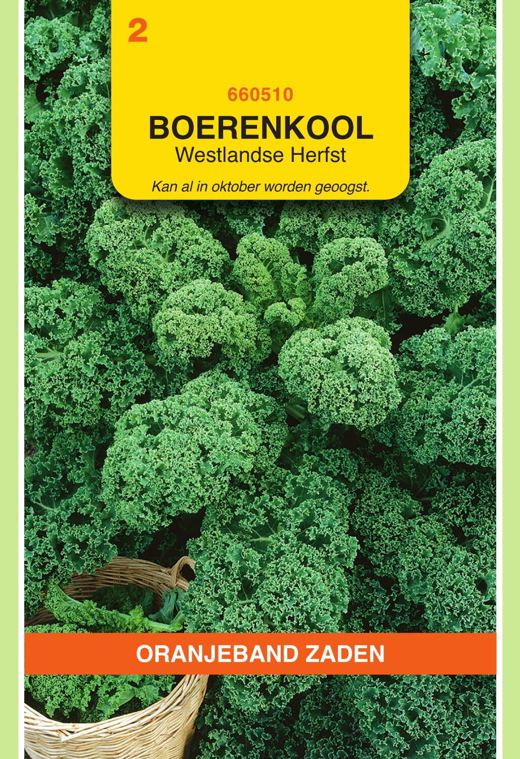 OBZ Boerenkool Zaden Westlandse Herfst (laat type)