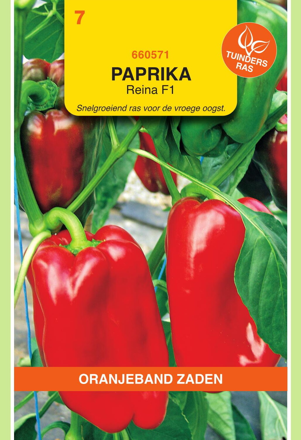 OBZ Paprika Zaden Reina F1