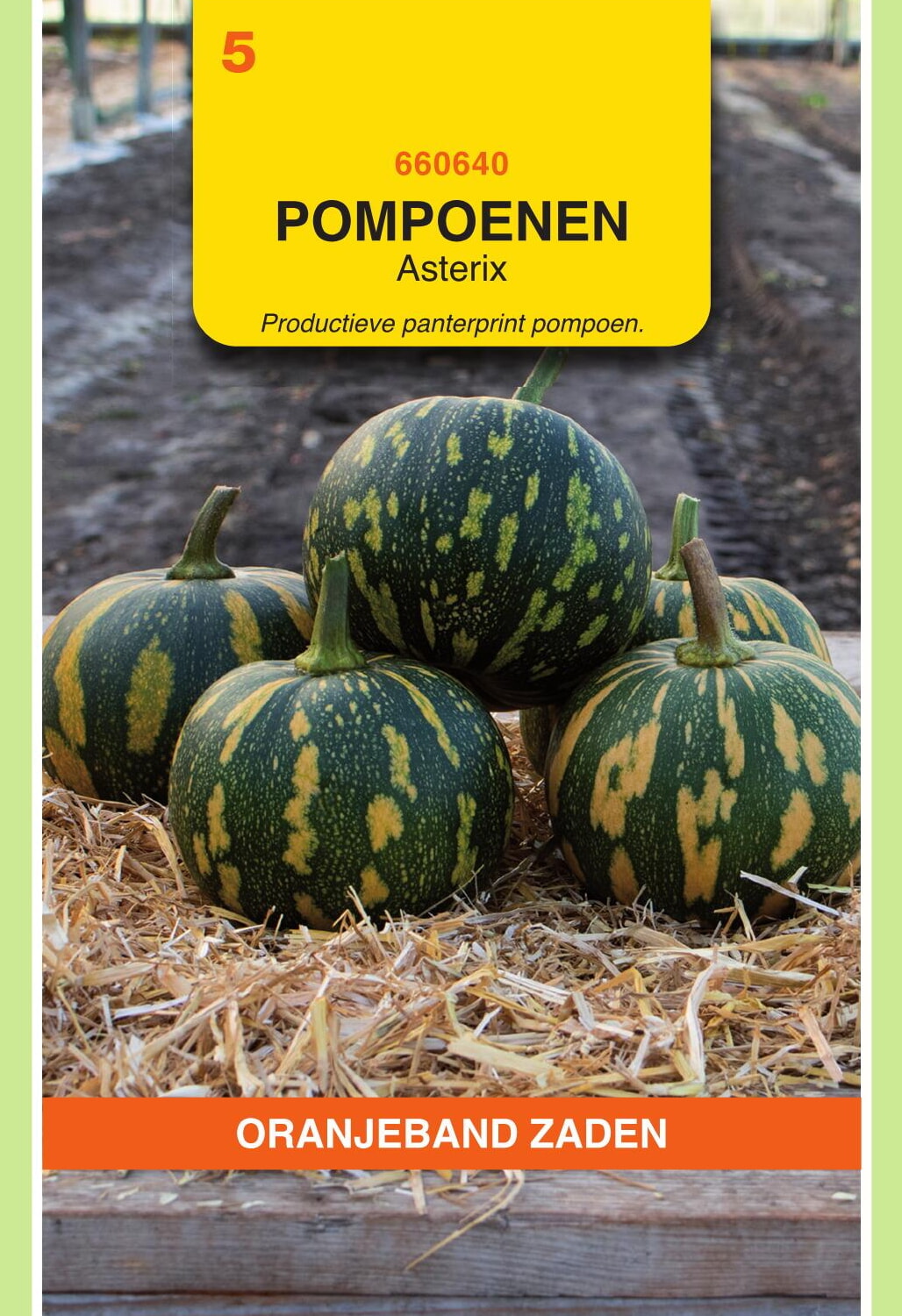 OBZ Pompoenen Zaden Asterix (Panterprint)