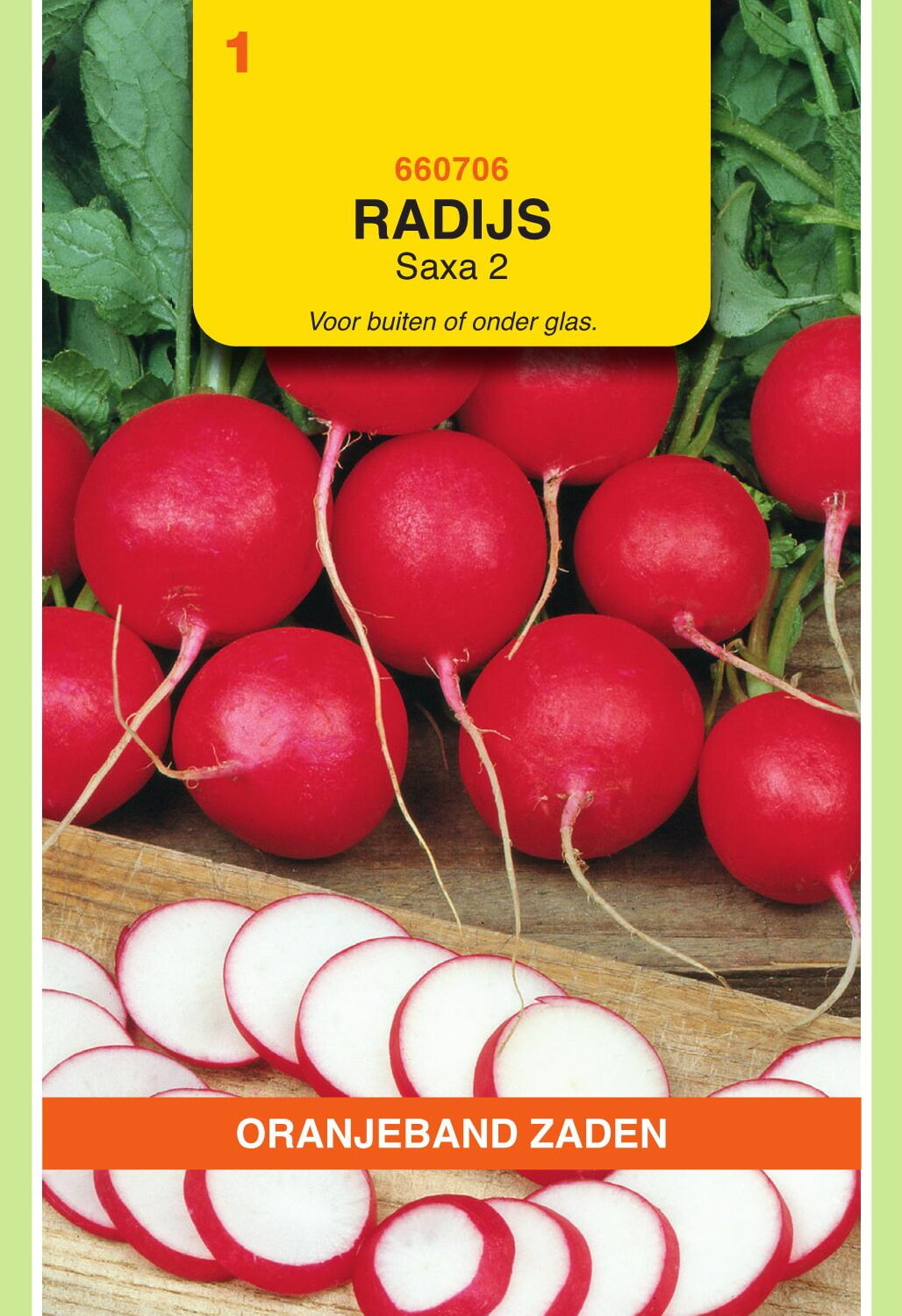 OBZ Radijs Zaden Saxa 2