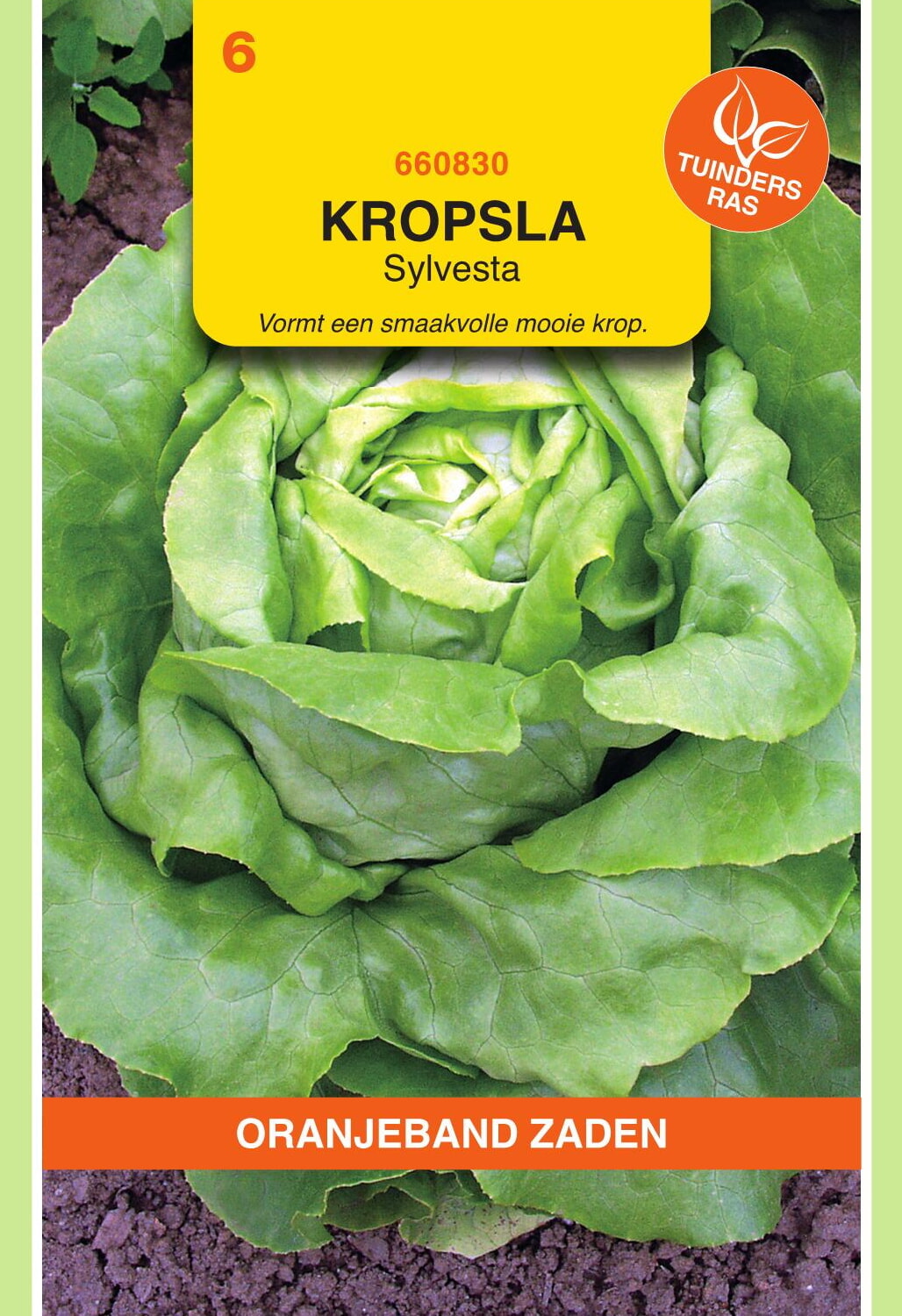 OBZ Kropsla Zaden Sylvesta