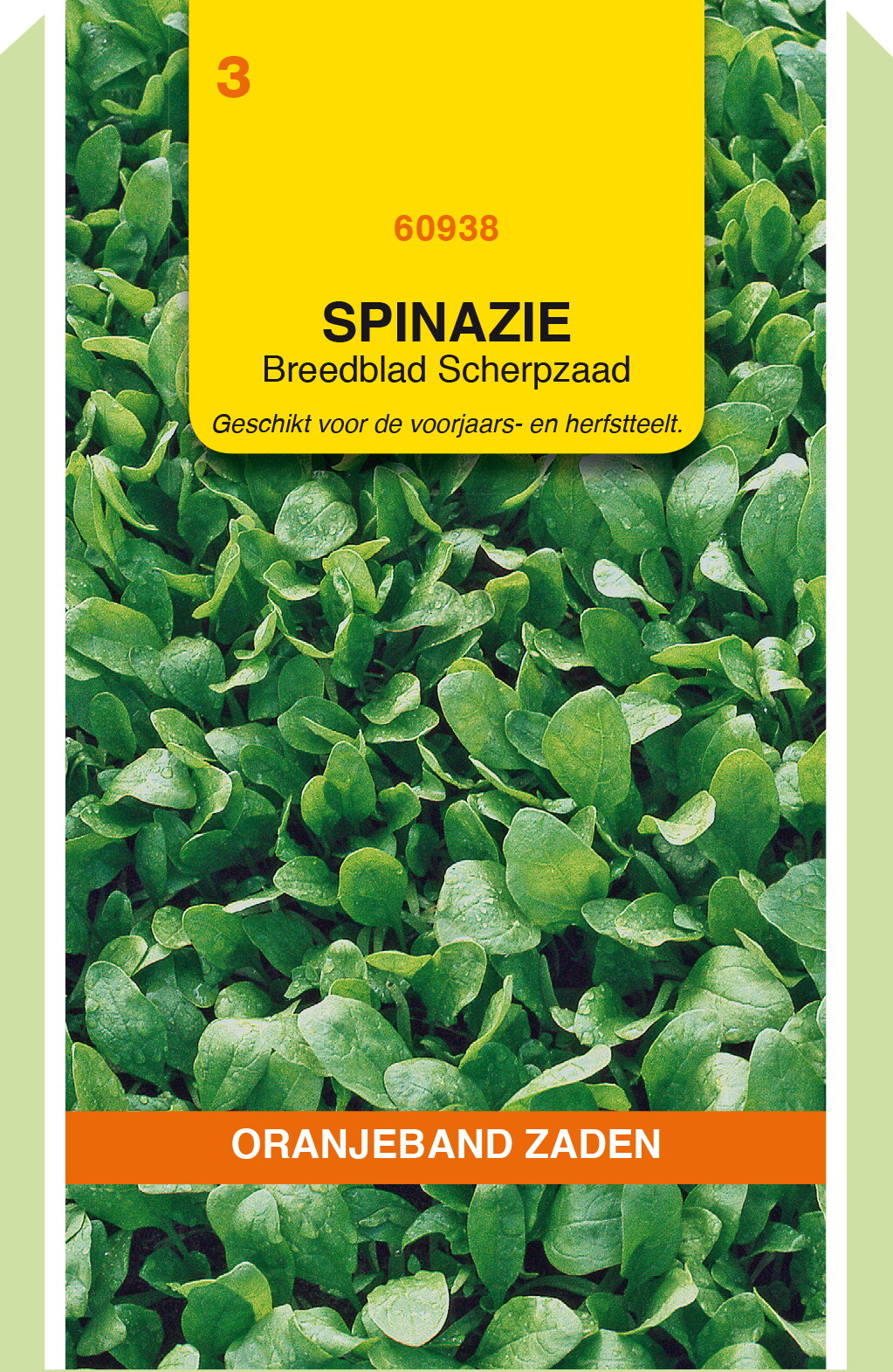 OBZ Spinazie Zaden Breedblad Scherpzaad 50g