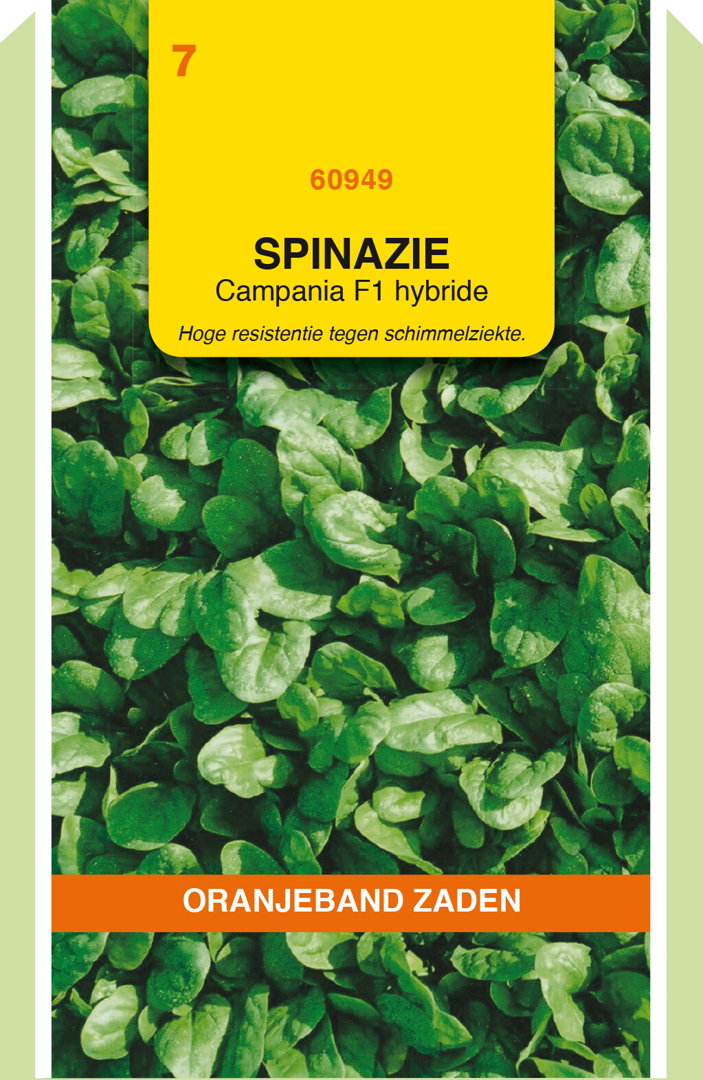 OBZ Spinazie Zaden Campania F1 50g